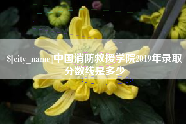 射洪中国消防救援学院2019年录取分数线是多少