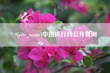 射洪中国执行网公开查询