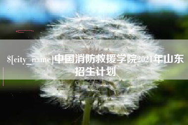射洪中国消防救援学院2021年山东招生计划