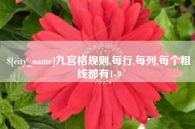 射洪九宫格规则,每行,每列,每个粗线都有1-9
