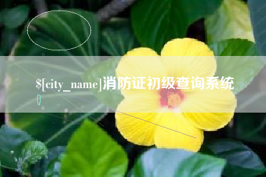 射洪消防证初级查询系统