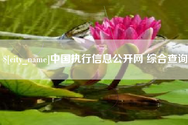 射洪中国执行信息公开网 综合查询