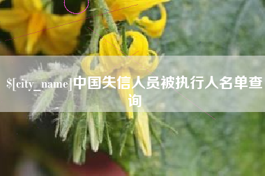 射洪中国失信人员被执行人名单查询