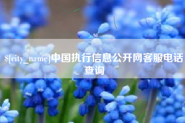 射洪中国执行信息公开网客服电话查询