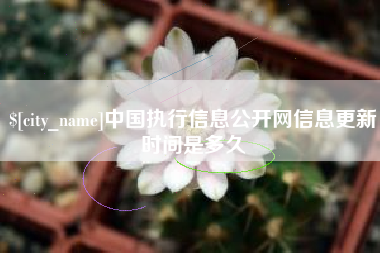 射洪中国执行信息公开网信息更新时间是多久