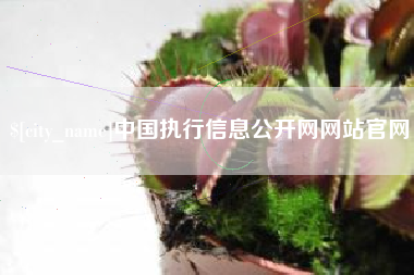 射洪中国执行信息公开网网站官网