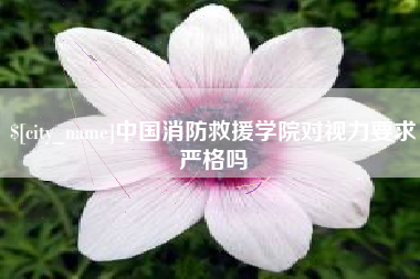 射洪中国消防救援学院对视力要求严格吗