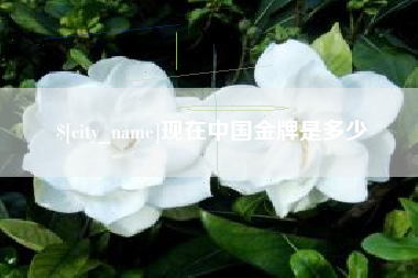 射洪现在中国金牌是多少