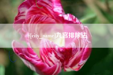 射洪九宫排除法
