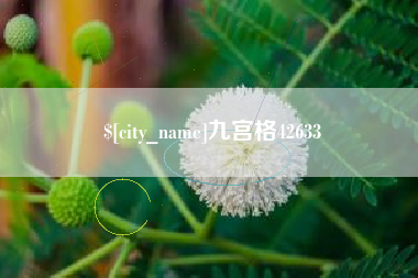 射洪九宫格42633