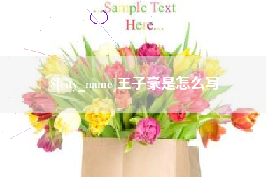 射洪王子豪是怎么写