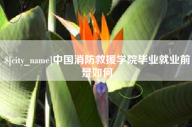 射洪中国消防救援学院毕业就业前景如何