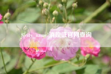 射洪消控证官网查询