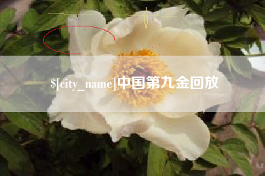 射洪中国第九金回放