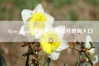 射洪中国执行网公开查询入口