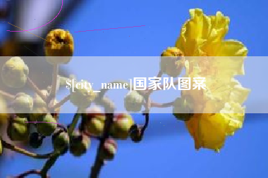 射洪国家队图案