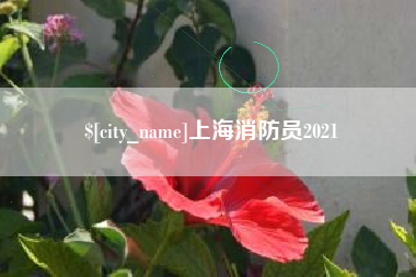 射洪上海消防员2021