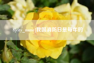 射洪我国消防日是每年的