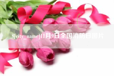 射洪11月9日全国消防日图片