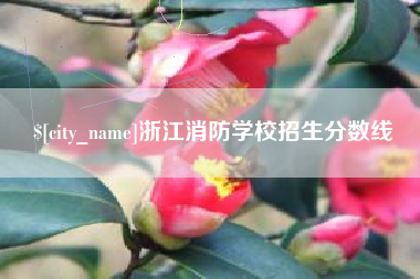 射洪浙江消防学校招生分数线