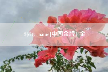 射洪中国金牌18金