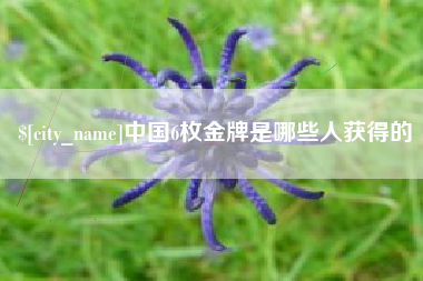 射洪中国6枚金牌是哪些人获得的