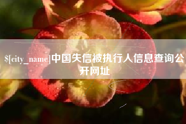 射洪中国失信被执行人信息查询公开网址
