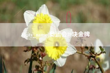 射洪奥运会39块金牌