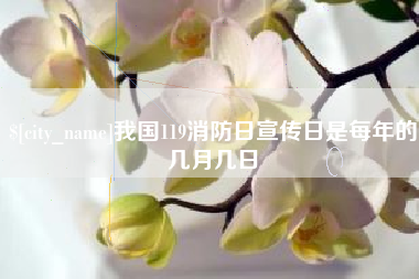 射洪我国119消防日宣传日是每年的几月几日