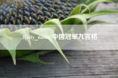 射洪中国冠军九宫格