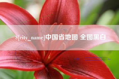 射洪中国省地图 全图黑白