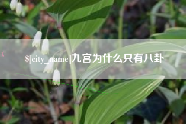 射洪九宫为什么只有八卦