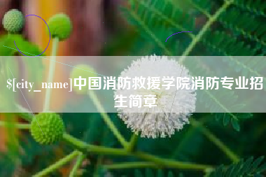 射洪中国消防救援学院消防专业招生简章