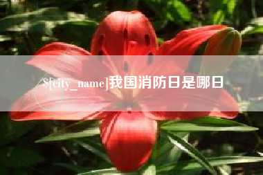 射洪我国消防日是哪日