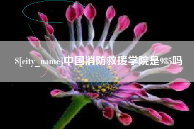 射洪中国消防救援学院是985吗