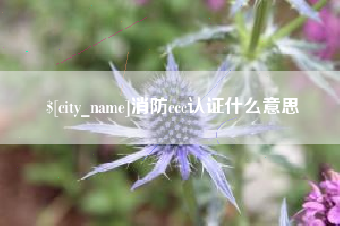 射洪消防ccc认证什么意思