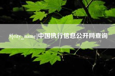 射洪中国执行信息公开网查询