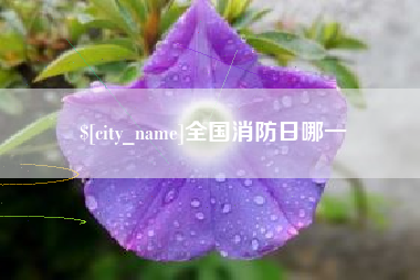 射洪全国消防日哪一