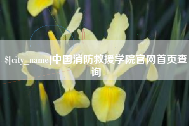 射洪中国消防救援学院官网首页查询