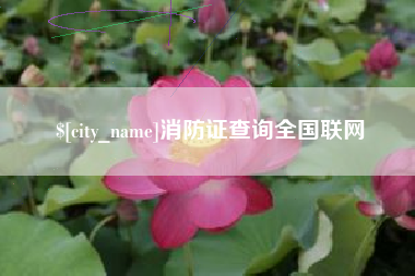 射洪消防证查询全国联网