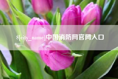 射洪中国消防网官网入口