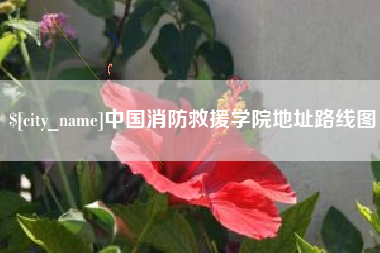 射洪中国消防救援学院地址路线图