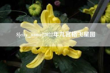 射洪2022年九宫格飞星图