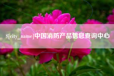 射洪中国消防产品信息查询中心