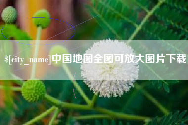 射洪中国地图全图可放大图片下载