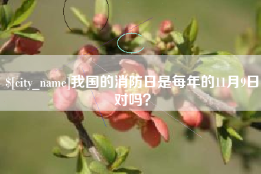 射洪我国的消防日是每年的11月9日对吗？