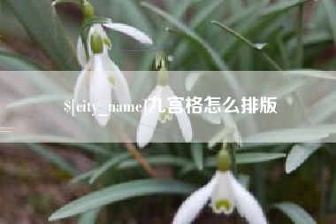 射洪九宫格怎么排版