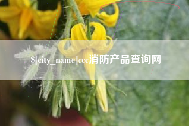 射洪ccc消防产品查询网