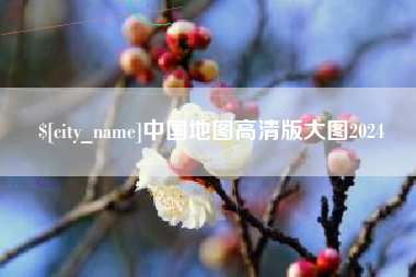 射洪中国地图高清版大图2024
