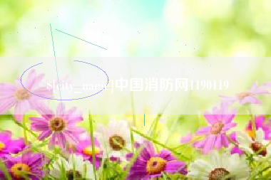 射洪中国消防网1190119